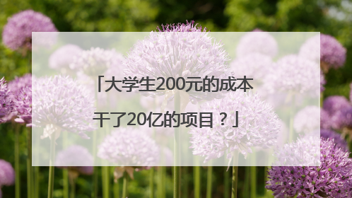 大学生200元的成本干了20亿的项目？