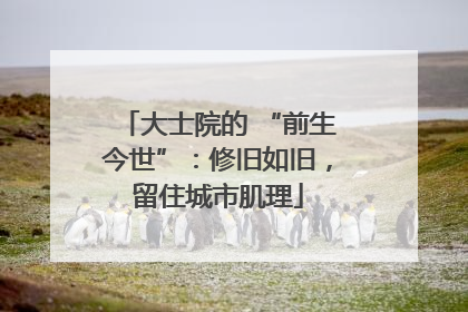 大士院的 “前生今世”：修旧如旧，留住城市肌理