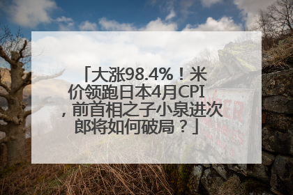大涨98.4%！米价领跑日本4月CPI，前首相之子小泉进次郎将如何破局？