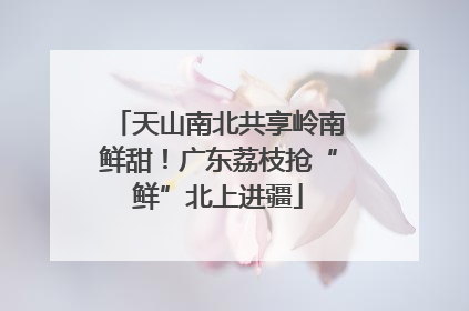 天山南北共享岭南鲜甜！广东荔枝抢“鲜”北上进疆