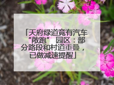 天府绿道竟有汽车“敞跑” 园区：部分路段和村道重叠，已做减速提醒