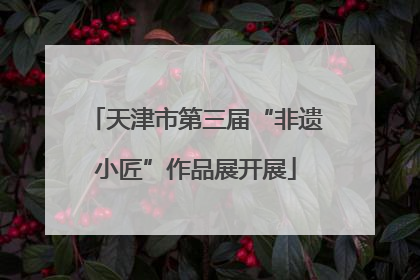 天津市第三届“非遗小匠”作品展开展
