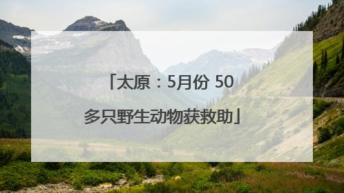 太原：5月份 50多只野生动物获救助