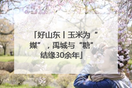 好山东丨玉米为“媒”，禹城与“糖”结缘30余年