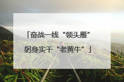 奋战一线“领头雁” 躬身实干“老黄牛”