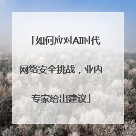 如何应对AI时代网络安全挑战，业内专家给出建议