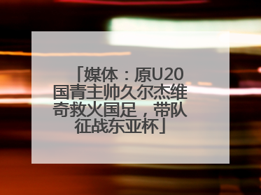 媒体：原U20国青主帅久尔杰维奇救火国足，带队征战东亚杯