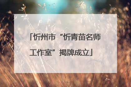 忻州市“忻青苗名师工作室”揭牌成立