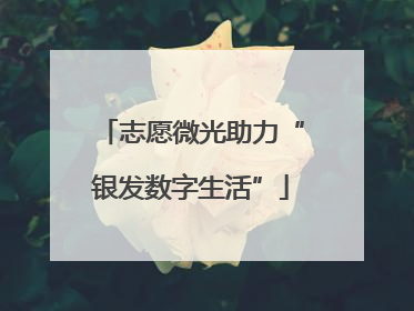 志愿微光助力“银发数字生活”