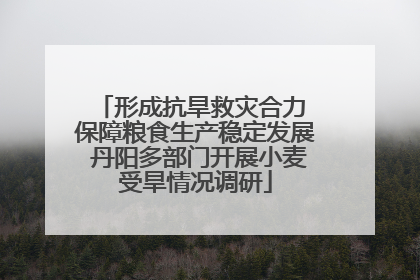 形成抗旱救灾合力 保障粮食生产稳定发展 丹阳多部门开展小麦受旱情况调研