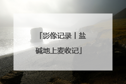 影像记录丨盐碱地上麦收记
