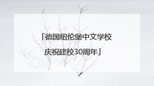 德国纽伦堡中文学校庆祝建校30周年