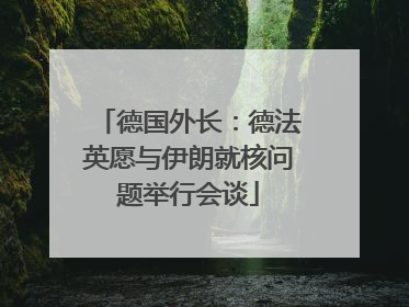 德国外长：德法英愿与伊朗就核问题举行会谈