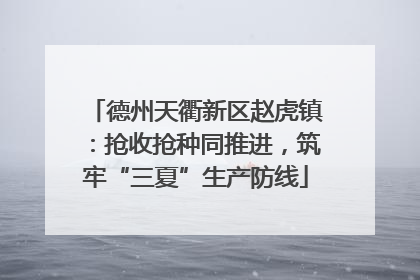 德州天衢新区赵虎镇：抢收抢种同推进，筑牢“三夏”生产防线