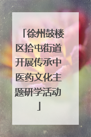 徐州鼓楼区拾屯街道开展传承中医药文化主题研学活动