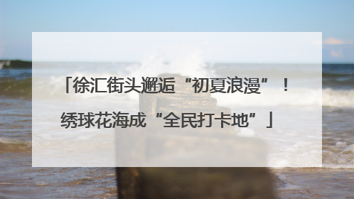 徐汇街头邂逅“初夏浪漫”！绣球花海成“全民打卡地”