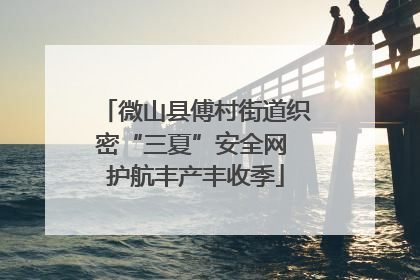 微山县傅村街道织密“三夏”安全网 护航丰产丰收季