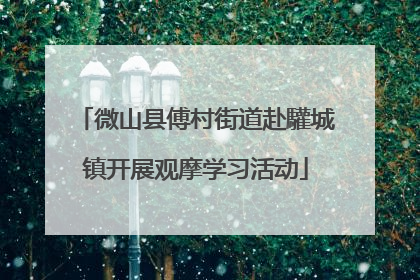 微山县傅村街道赴驩城镇开展观摩学习活动