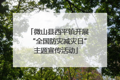 微山县西平镇开展“全国防灾减灾日”主题宣传活动