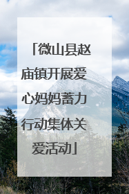 微山县赵庙镇开展爱心妈妈蓄力行动集体关爱活动