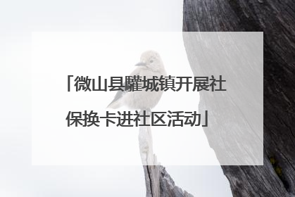 微山县驩城镇开展社保换卡进社区活动