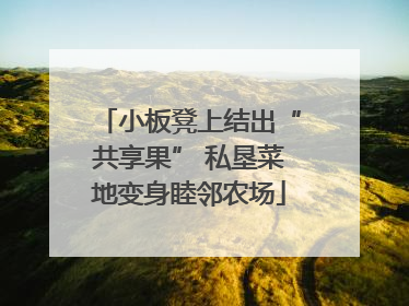 小板凳上结出“共享果” 私垦菜地变身睦邻农场