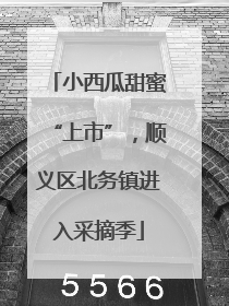 小西瓜甜蜜“上市”，顺义区北务镇进入采摘季