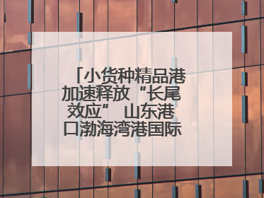 小货种精品港加速释放“长尾效应” 山东港口渤海湾港国际件杂货运业务