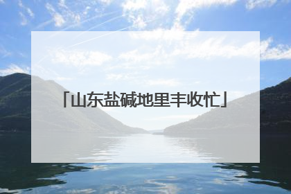 山东盐碱地里丰收忙