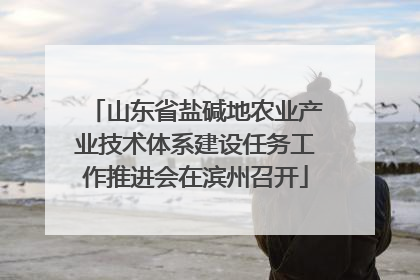 山东省盐碱地农业产业技术体系建设任务工作推进会在滨州召开