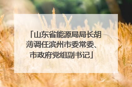 山东省能源局局长胡薄调任滨州市委常委、市政府党组副书记