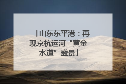 山东东平港：再现京杭运河“黄金水道”盛景