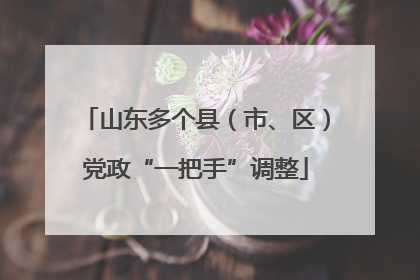 山东多个县（市、区）党政“一把手”调整