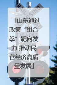 山东通过政策“组合拳”靶向发力 推动民营经济高质量发展