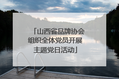 山西省品牌协会组织全体党员开展主题党日活动