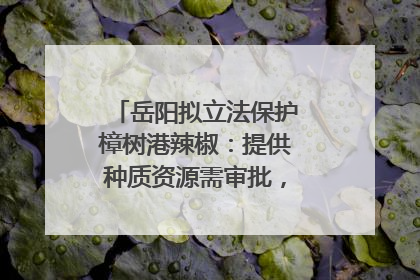 岳阳拟立法保护樟树港辣椒：提供种质资源需审批，违规最高罚5万