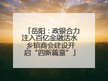 岳阳：政银合力注入百亿金融活水 乡镇商会建设开启“四新篇章”