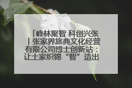 峰林聚智 科创兴张丨张家界旅典文化经营有限公司博士创新站：让土家织锦“智”造出非遗新传奇