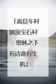 嵩县车村镇顶宝石村：密林之下有诗意有生机