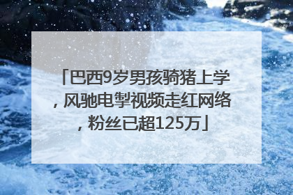 巴西9岁男孩骑猪上学，风驰电掣视频走红网络，粉丝已超125万