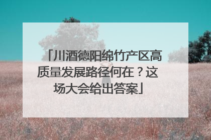 川酒德阳绵竹产区高质量发展路径何在？这场大会给出答案