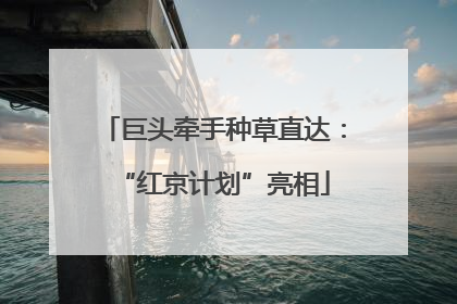 巨头牵手种草直达：“红京计划”亮相
