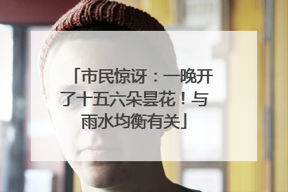 市民惊讶：一晚开了十五六朵昙花！与雨水均衡有关