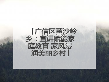 广信区黄沙岭乡：宣讲赋能家庭教育 家风浸润美丽乡村