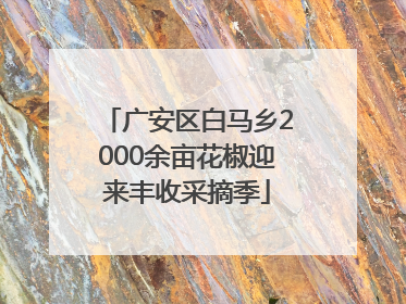 广安区白马乡2000余亩花椒迎来丰收采摘季