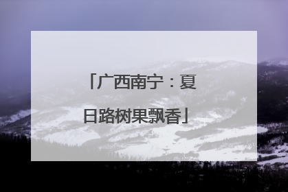 广西南宁：夏日路树果飘香