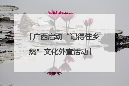 广西启动“记得住乡愁”文化外宣活动