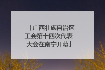 广西壮族自治区工会第十四次代表大会在南宁开幕