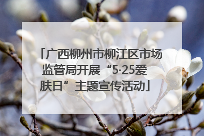 广西柳州市柳江区市场监管局开展“5·25爱肤日”主题宣传活动
