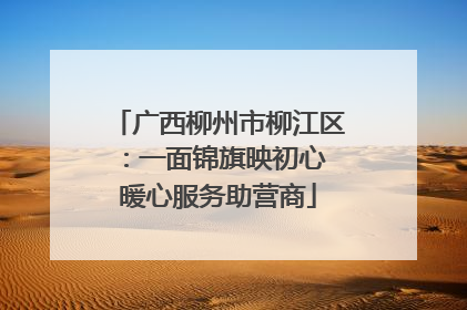 广西柳州市柳江区：一面锦旗映初心 暖心服务助营商